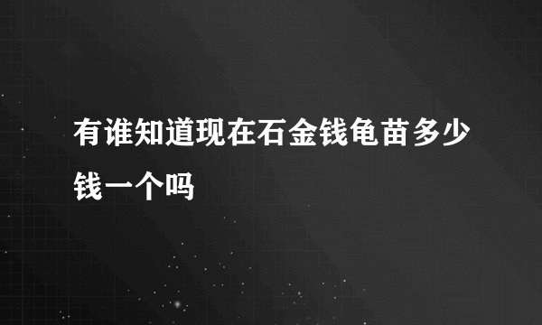 有谁知道现在石金钱龟苗多少钱一个吗