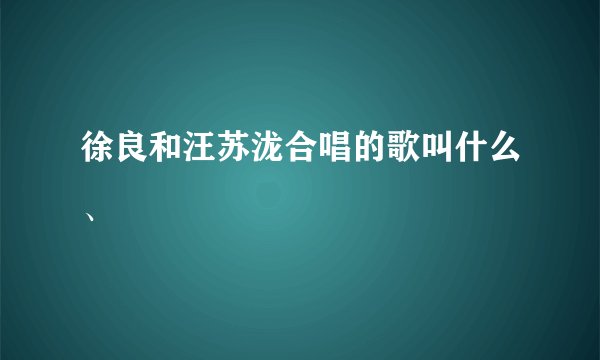 徐良和汪苏泷合唱的歌叫什么、