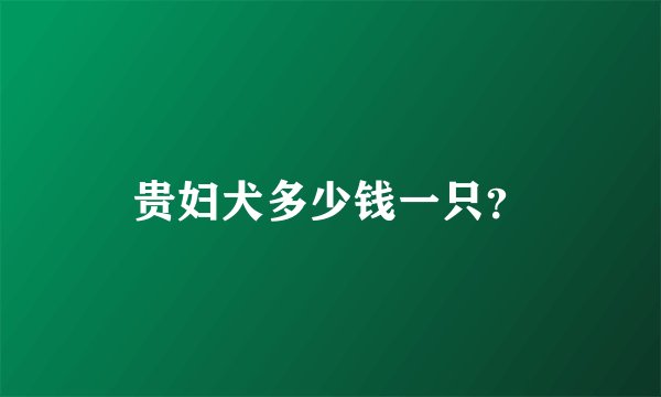 贵妇犬多少钱一只？