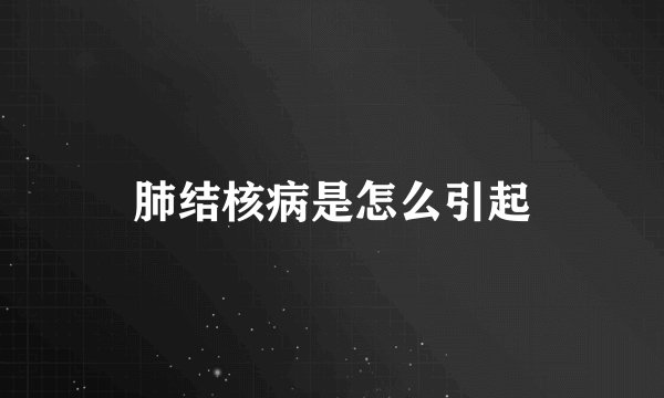 肺结核病是怎么引起