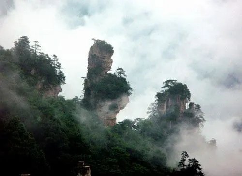 张家界有什么好的旅游公司吗?