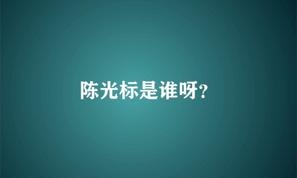 陈光标是谁呀？
