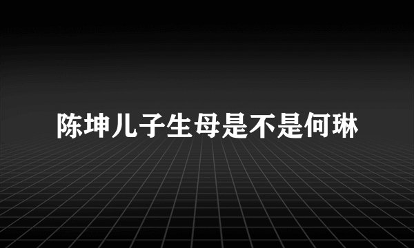 陈坤儿子生母是不是何琳