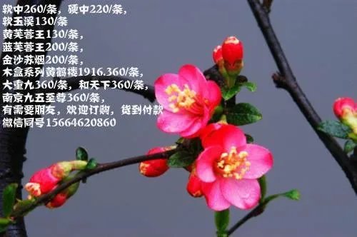 佛山哪里有大型的批发市场啊