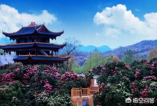 四月份国内有哪些适合摄影旅游的地方?