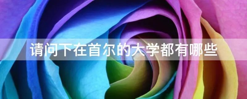 请问下在首尔的大学都有哪些
