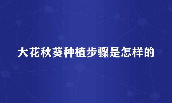 大花秋葵种植步骤是怎样的