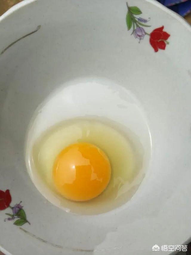 养绿壳蛋鸡有前景吗？有什么好建议？