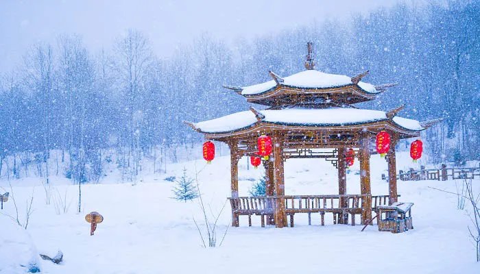 描写雪的诗40首 描写雪的诗句