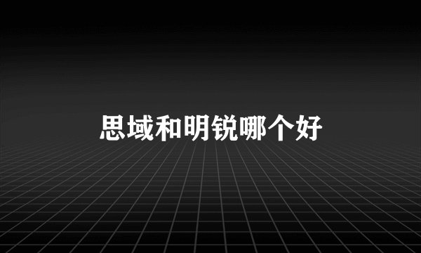 思域和明锐哪个好