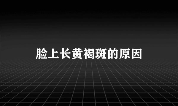脸上长黄褐斑的原因