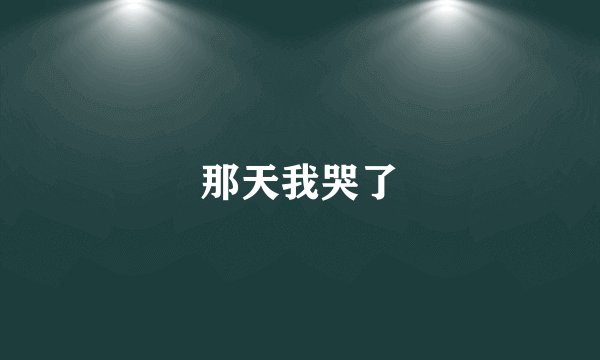 那天我哭了