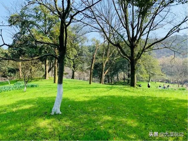杭州的太子湾公园好玩吗?是否值得周末去玩?
