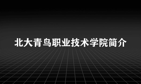北大青鸟职业技术学院简介