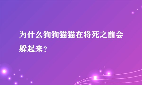 为什么狗狗猫猫在将死之前会躲起来？