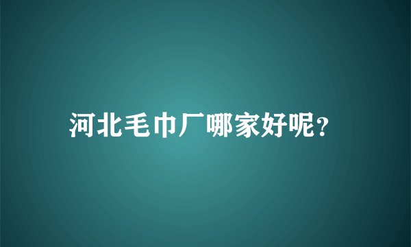 河北毛巾厂哪家好呢？