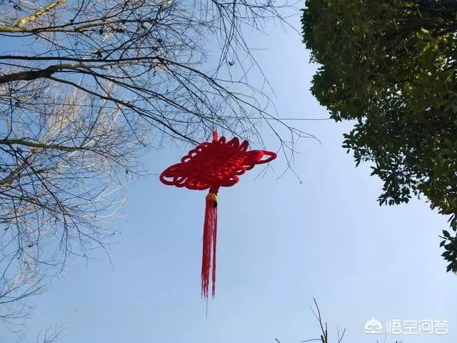 过年是否就是一家人团团圆圆在一起呢?