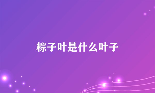 粽子叶是什么叶子