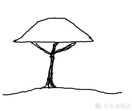 造景 篇一:小白也能玩草缸—聊一聊我的水草缸造景历程