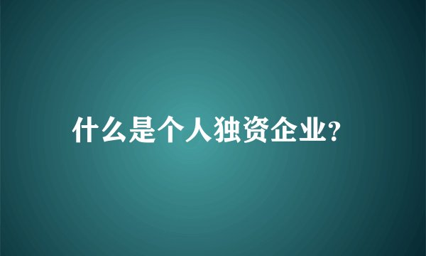 什么是个人独资企业?