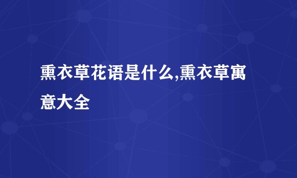熏衣草花语是什么,熏衣草寓意大全
