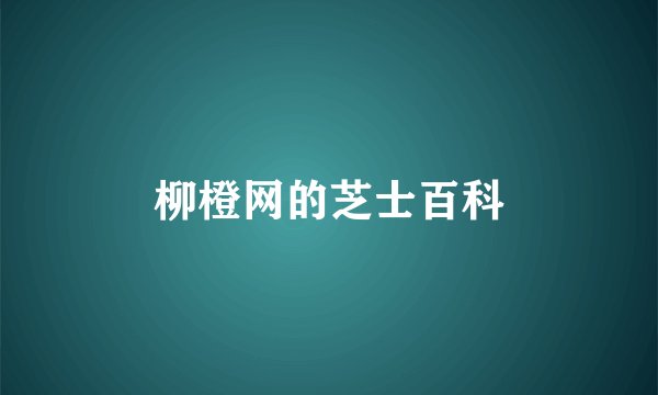 柳橙网的芝士百科