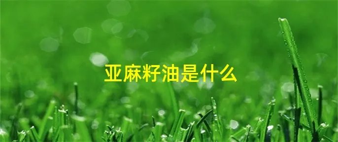 亚麻籽油是什么