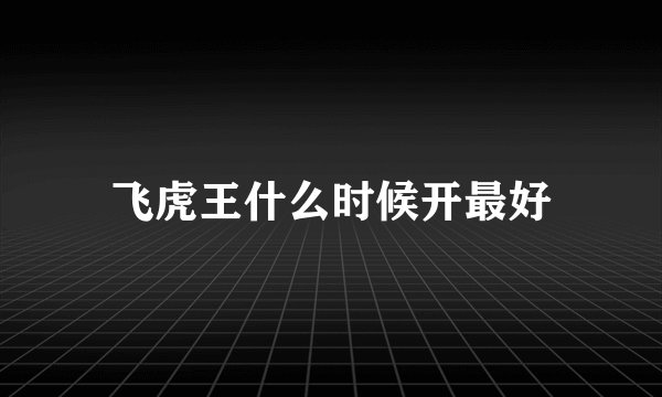 飞虎王什么时候开最好