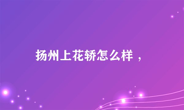 扬州上花轿怎么样 ，