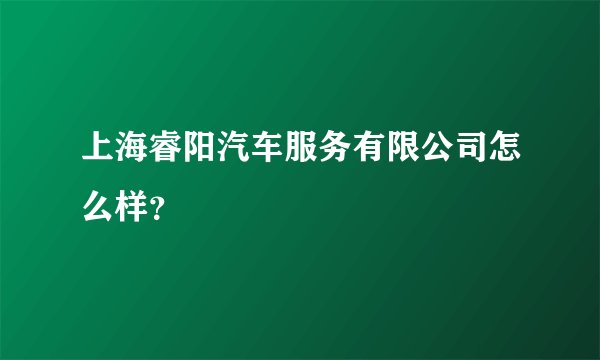 上海睿阳汽车服务有限公司怎么样？
