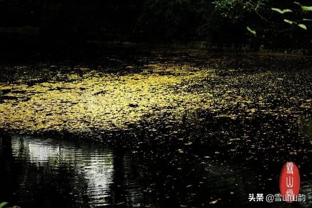 学摄影好吗?什么摄影好?