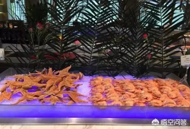 石家庄有哪些好吃的自助值得推荐,谢谢?