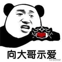 绝地求生:A+大哥口无遮拦骂小狮子引起官方调查,被严肃处理,如何评价?