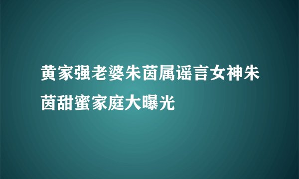 黄家强老婆朱茵属谣言女神朱茵甜蜜家庭大曝光