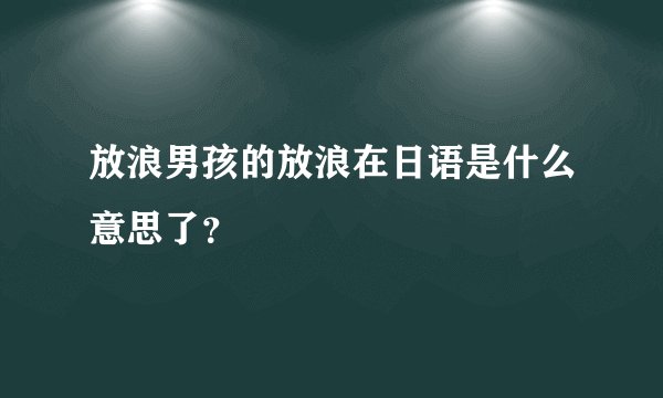 放浪男孩的放浪在日语是什么意思了？