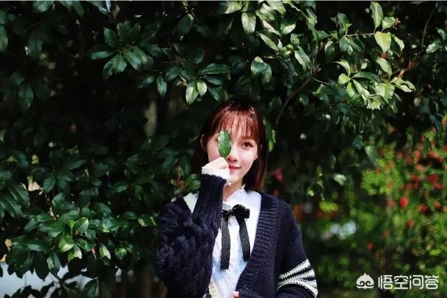 杭州的太子湾公园好玩吗?是否值得周末去玩?