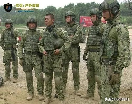 特种兵之火凤凰的大结局是怎样的?叶寸心的妈妈有没有死?
