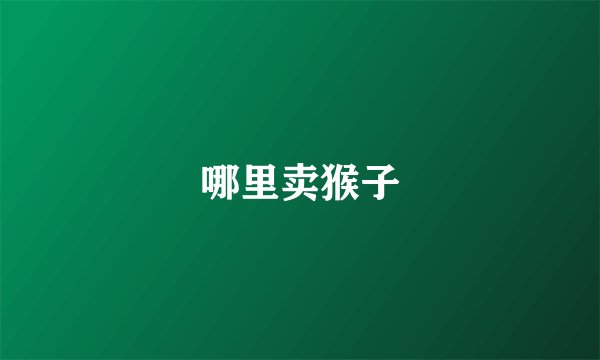 哪里卖猴子
