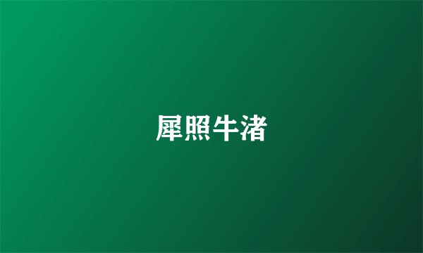 犀照牛渚