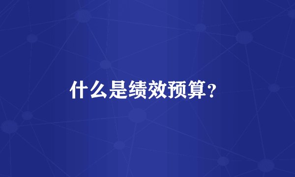 什么是绩效预算？