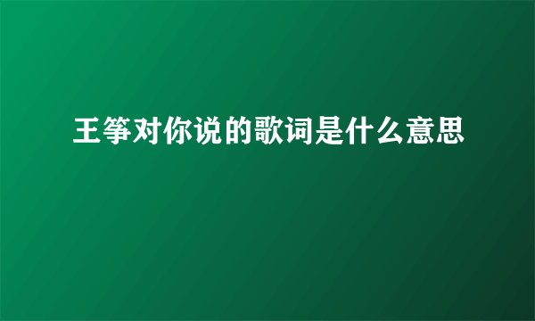 王筝对你说的歌词是什么意思