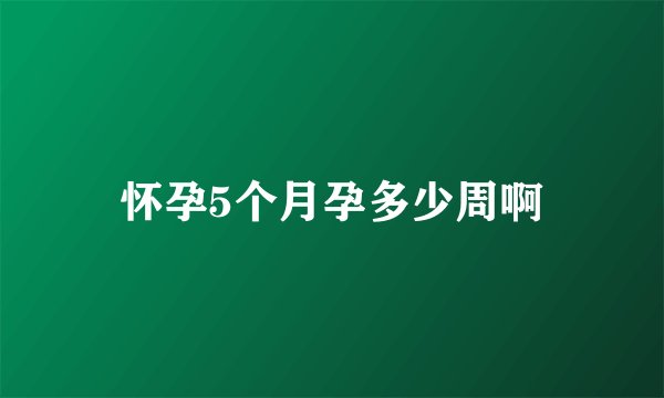 怀孕5个月孕多少周啊