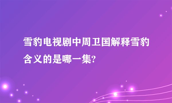 雪豹电视剧中周卫国解释雪豹含义的是哪一集?