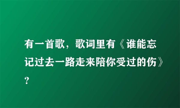有一首歌，歌词里有《谁能忘记过去一路走来陪你受过的伤》？
