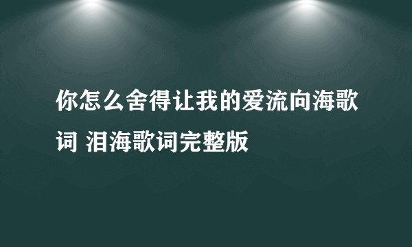 你怎么舍得让我的爱流向海歌词 泪海歌词完整版