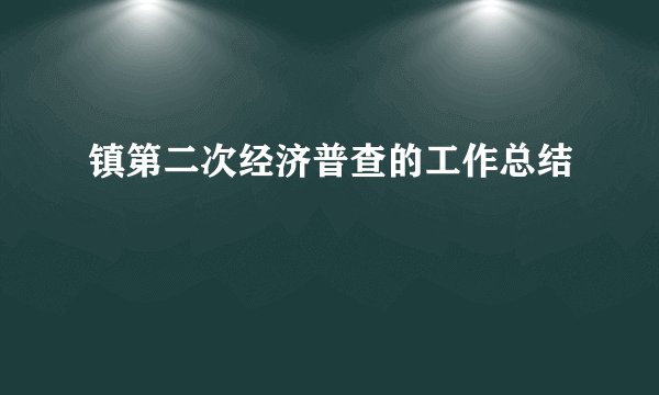 镇第二次经济普查的工作总结