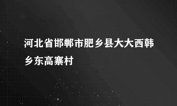 河北省邯郸市肥乡县大大西韩乡东高寨村