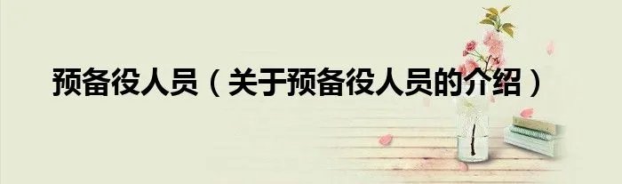 预备役人员（关于预备役人员的介绍）
