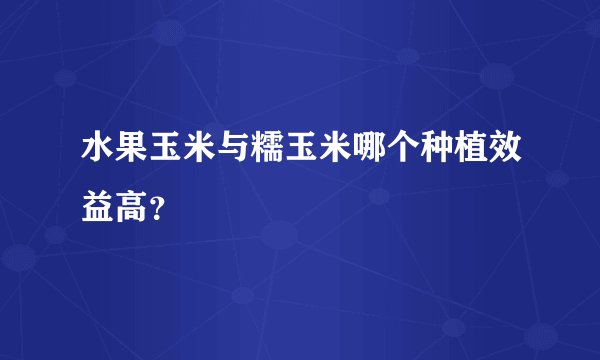 水果玉米与糯玉米哪个种植效益高？