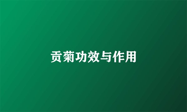 贡菊功效与作用